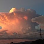 てすてすてふてふ